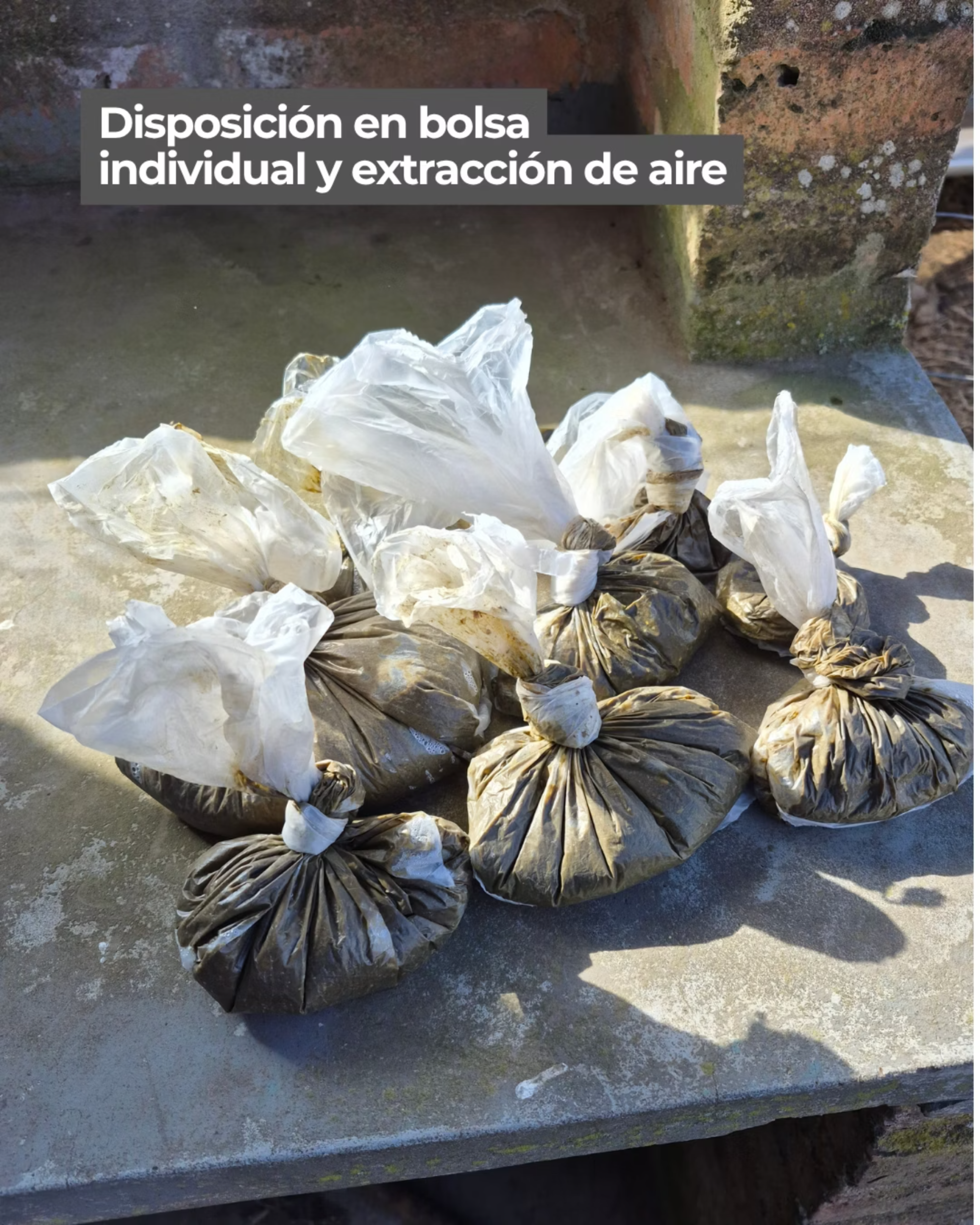 Disposición en bolsa individual y extracción de aire