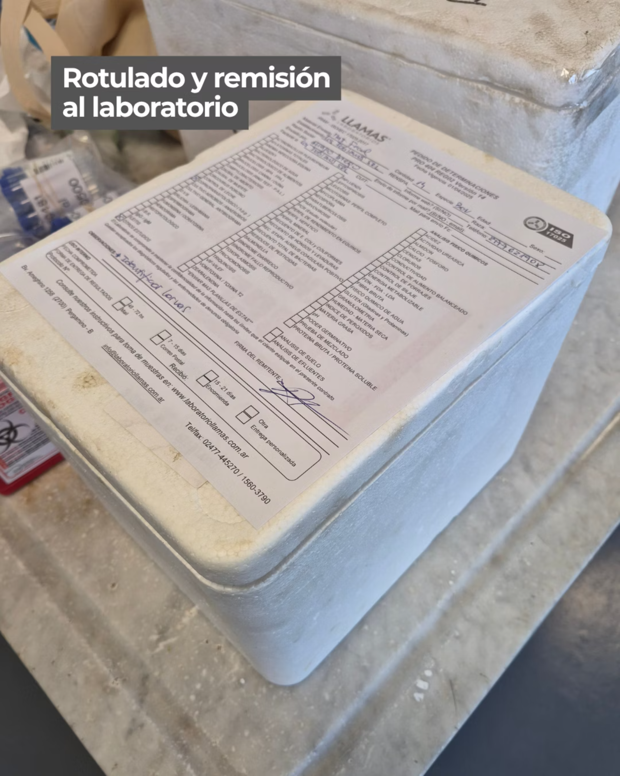 Rotulado y remisión al laboratorio