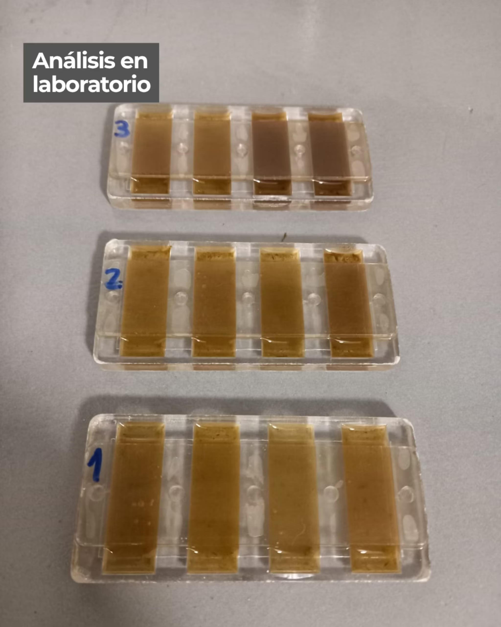 Análisis de muestras en laboratorio