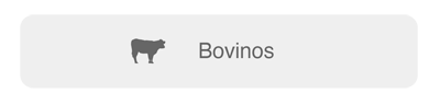Bovinos-1
